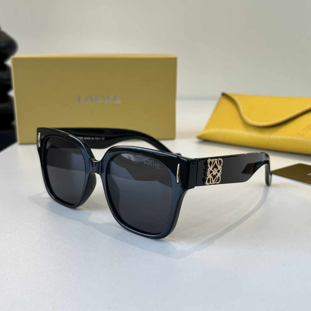 Loewe New Sunglasses